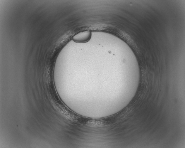 X0000078840354200612041845