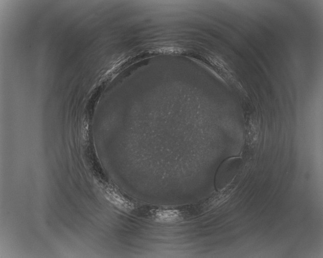 X0000078840355200612041845