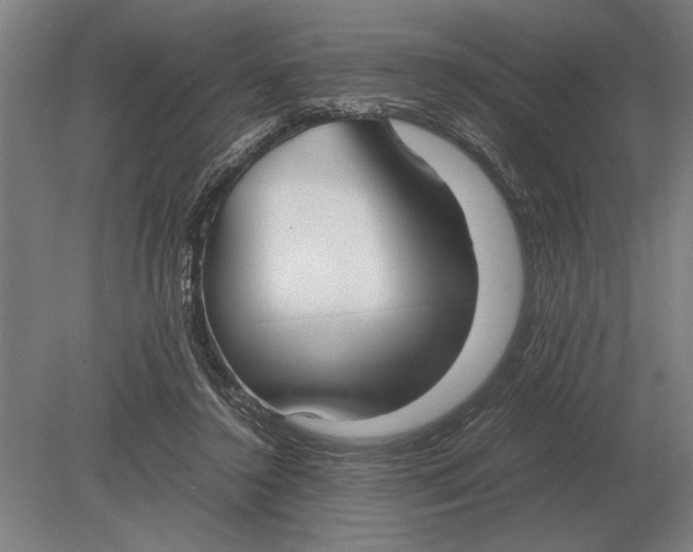 X0000078840356200612041845