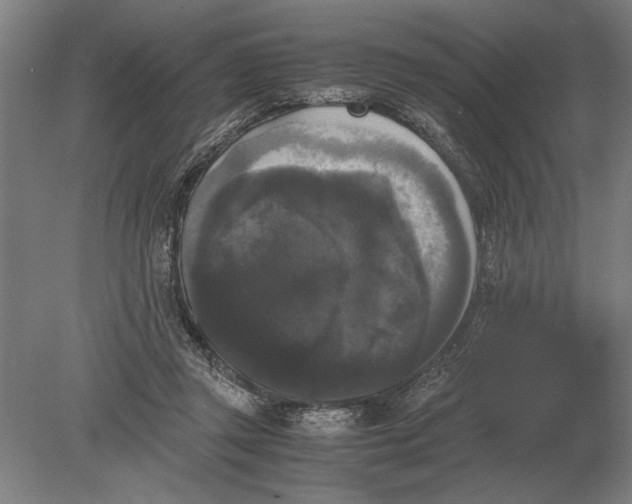 X0000078840357200612041845