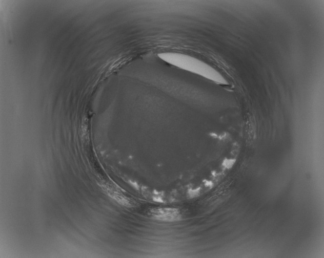 X0000078840361200612041845