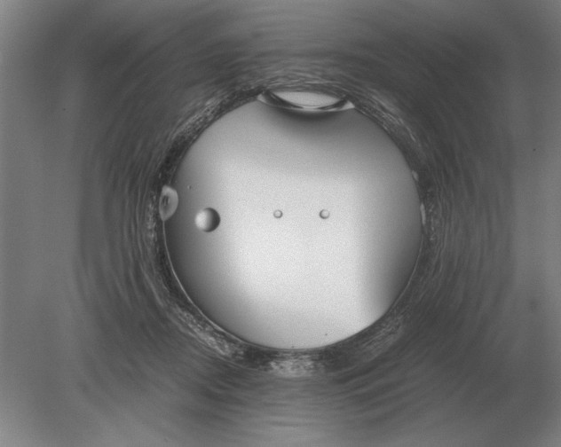 X0000078840362200612041845