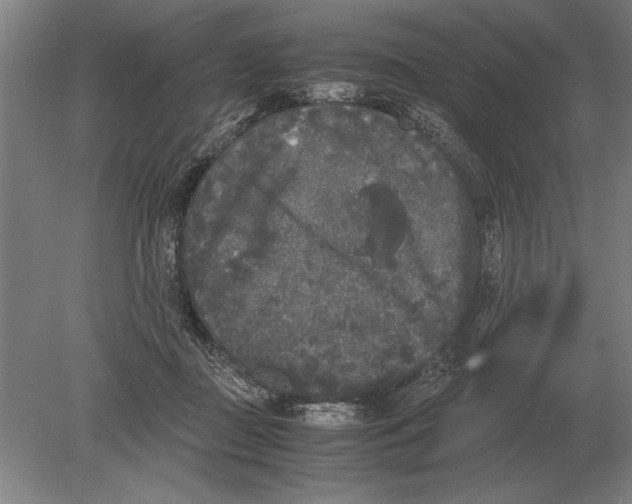 X0000078840363200612041845