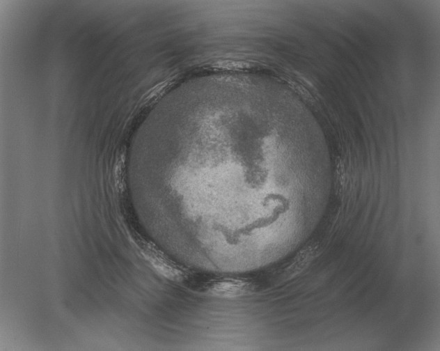 X0000078840364200612041845