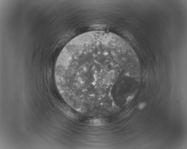 X0000078840365200612041845