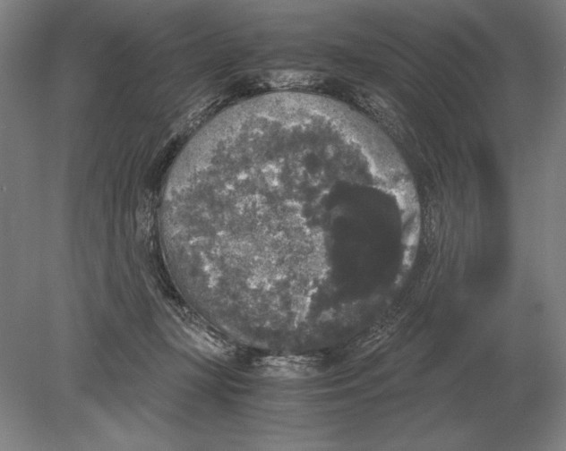 X0000078840367200612041845