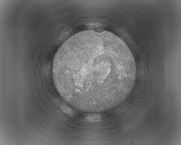 X0000078840369200612041845