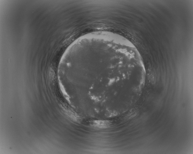 X0000078840371200612041845