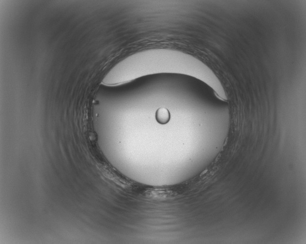 X0000078840372200612041845