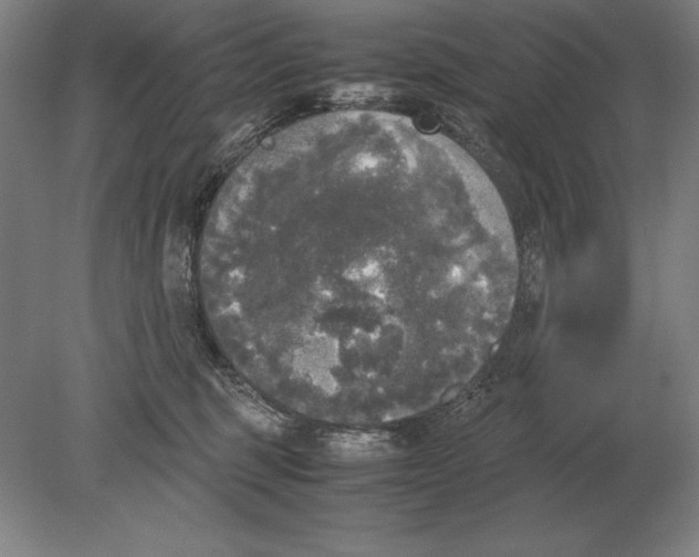 X0000078840375200612041846