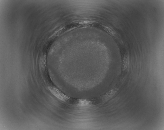 X0000078840376200612041846