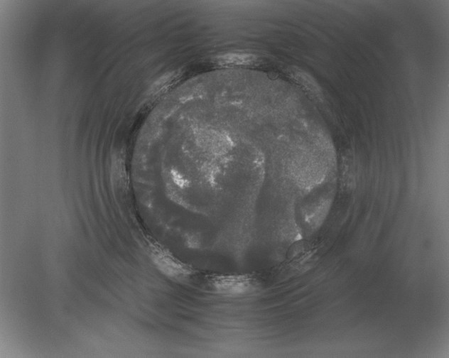 X0000078840377200612041846