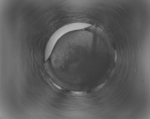 X0000078840380200612041846