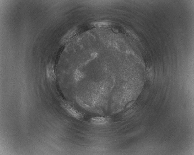 X0000078840381200612041846