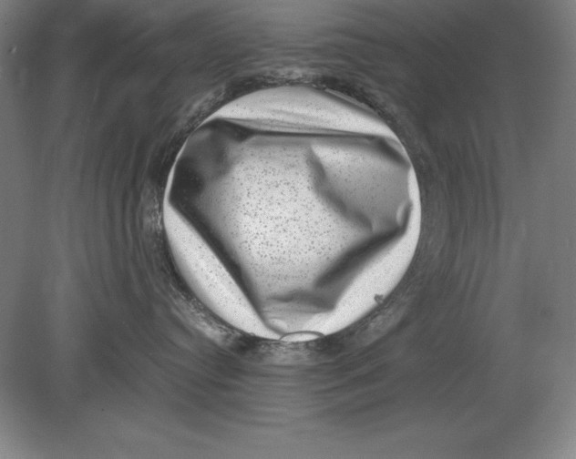 X0000078840384200612041846