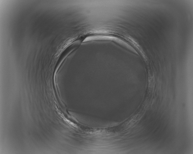 X0000078840385200612041845