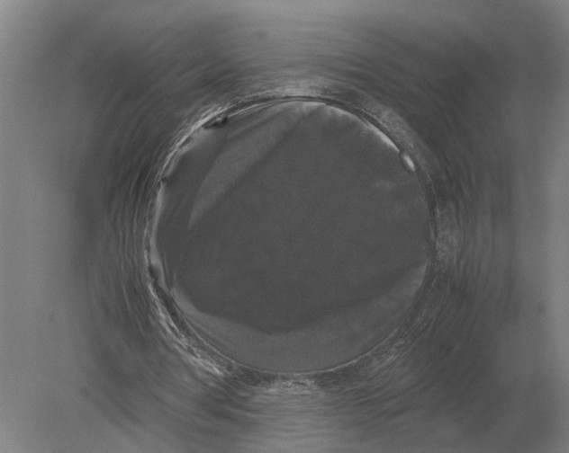 X0000078840386200612041845