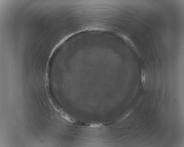 X0000078840388200612041845