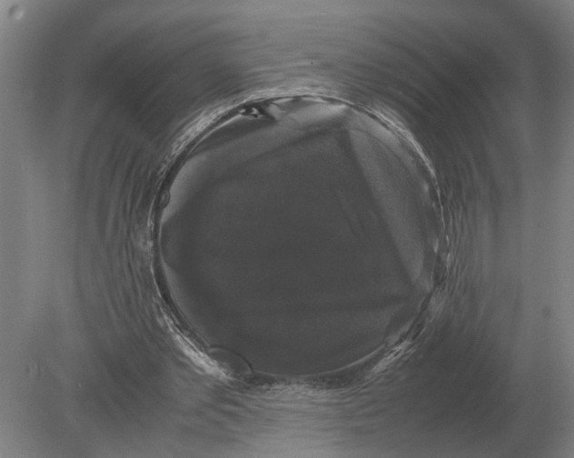 X0000078840389200612041845