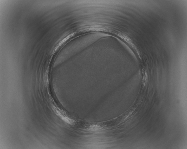 X0000078840390200612041845