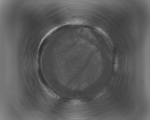 X0000078840392200612041845