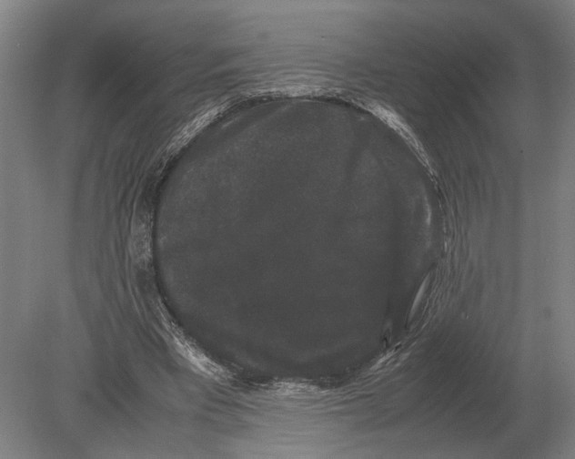 X0000078840393200612041845