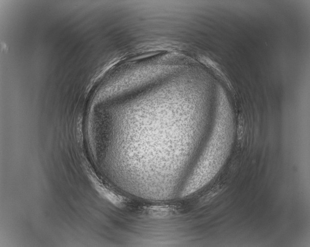 X0000078840394200612041845