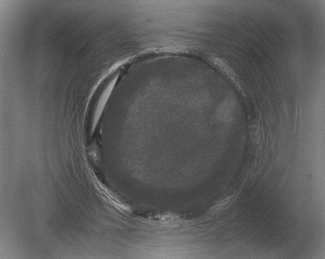 X0000078840395200612041845