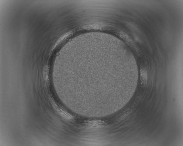 X0000078840396200612041845