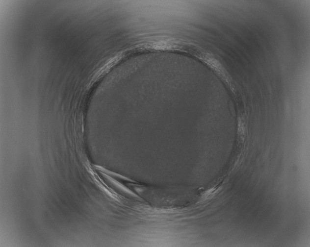 X0000078840397200612041845