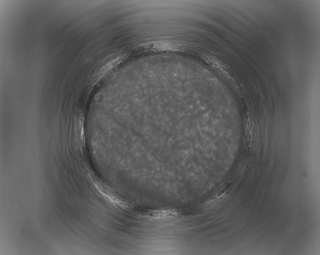 X0000078840398200612041845