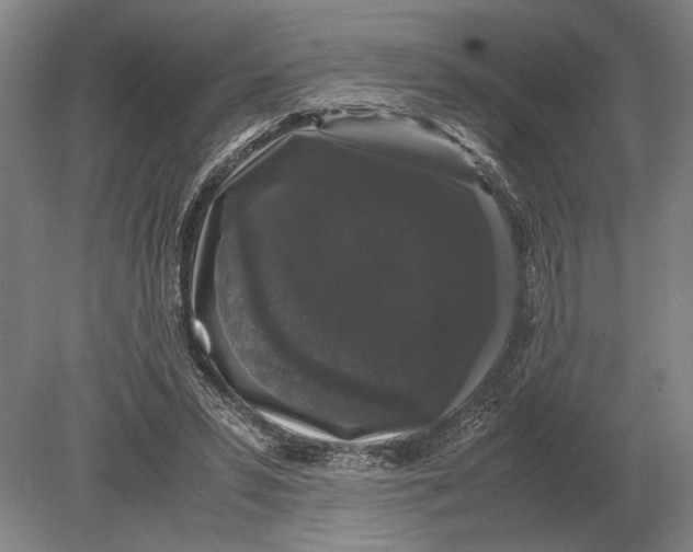 X0000078840399200612041845