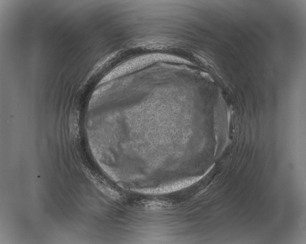 X0000078840400200612041845