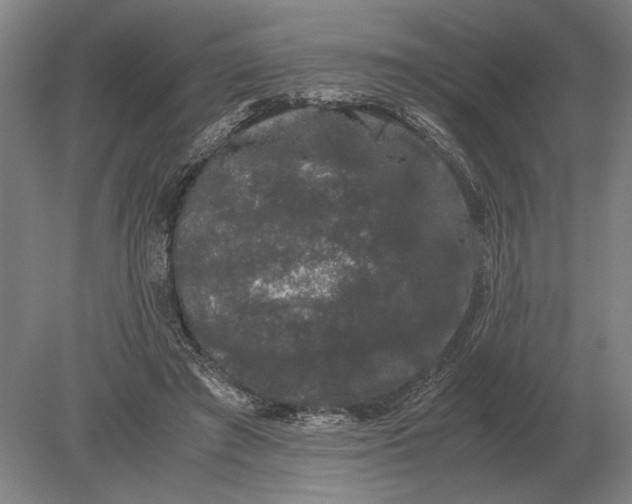 X0000078840401200612041845