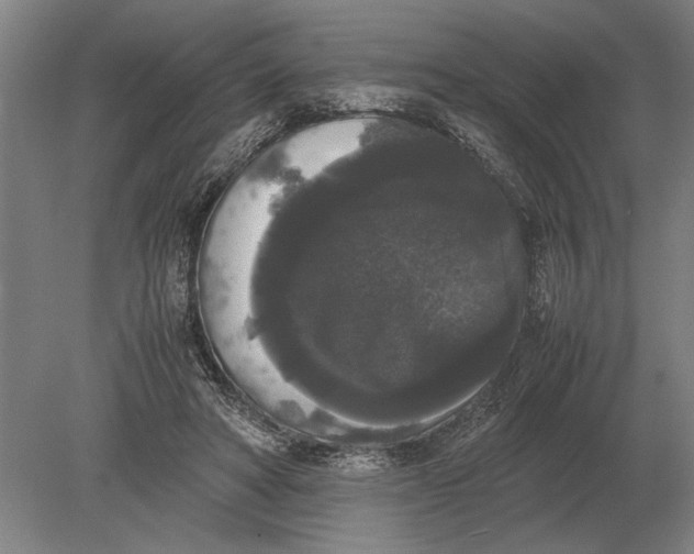 X0000078840402200612041845