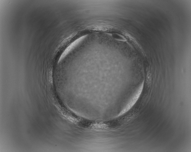 X0000078840403200612041845