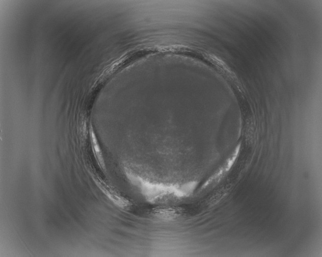 X0000078840405200612041845