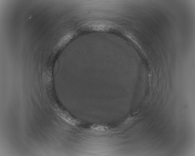 X0000078840407200612041845