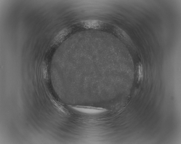 X0000078840408200612041844