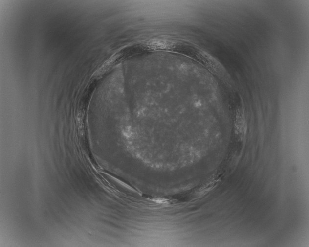 X0000078840409200612041844