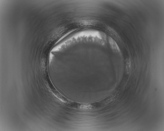 X0000078840410200612041844