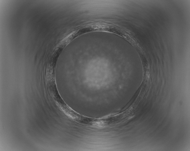 X0000078840411200612041844