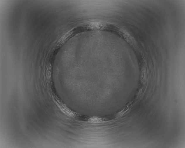 X0000078840413200612041844