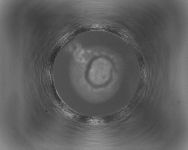 X0000078840415200612041844