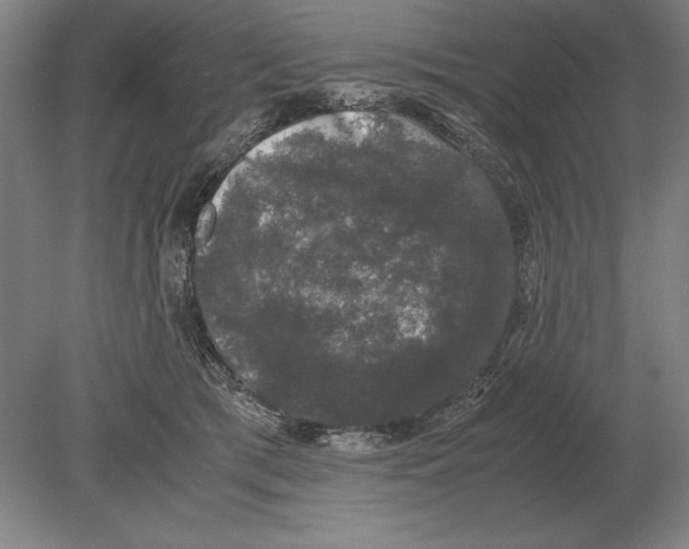 X0000078840417200612041844