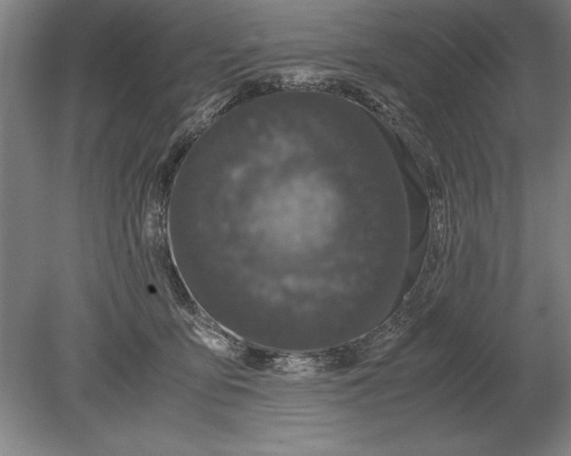 X0000078840419200612041844