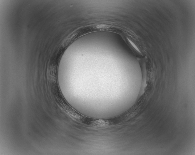 X0000078840421200612041844