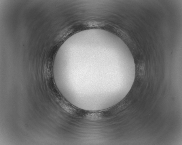 X0000078840422200612041844