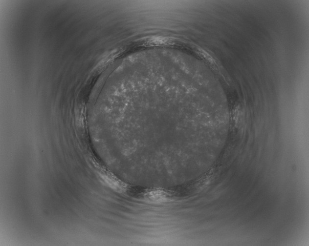 X0000078840423200612041844