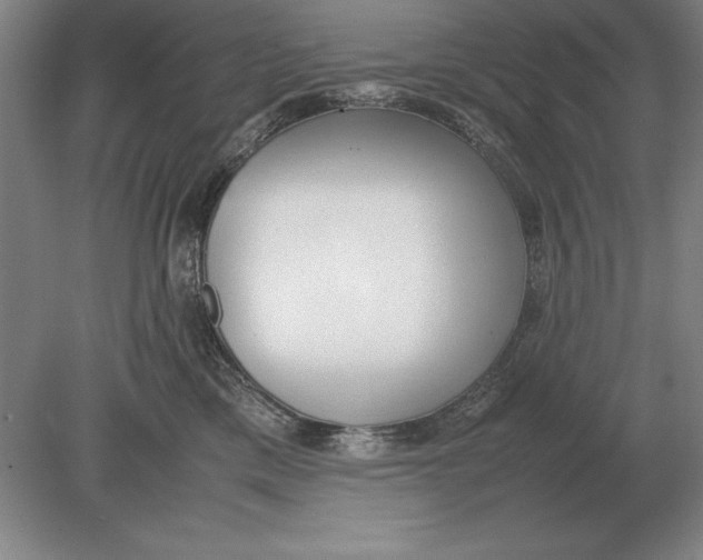 X0000078840425200612041844